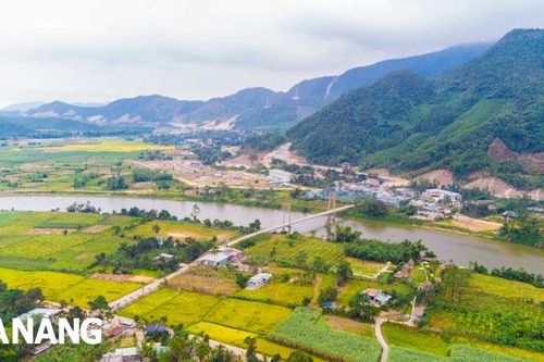 Vui dưới tán rừng