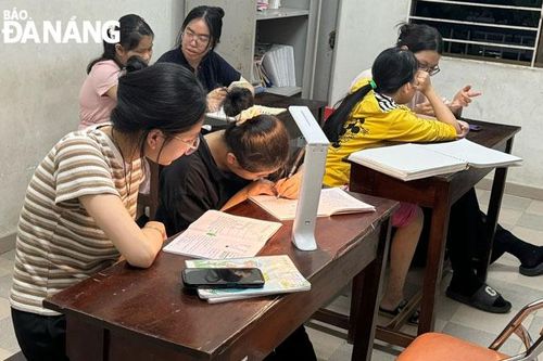 Vun trồng điều nhỏ bé