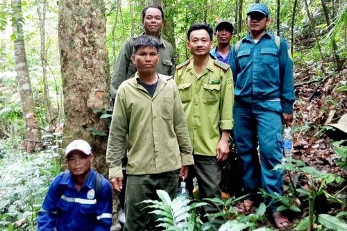 Kông Chro: Cộng đồng và hộ gia đình tích cực quản lý, bảo vệ rừng