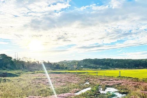 Hoàng hôn đâu phải để lụi tàn