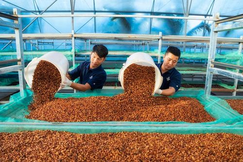 Tiếp tục đẩy nhanh việc thành lập, mở rộng các cụm công nghiệp