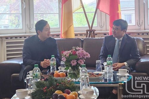 Đoàn công tác của tỉnh Thái Nguyên làm việc với Tổng lãnh sự quán Việt Nam tại Frankfurt (Đức)