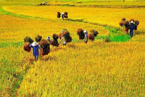 Về quê nghe kể chuyện mùa