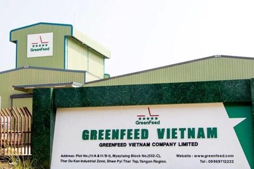 Greenfeed Việt Nam 'lội ngược dòng' báo lãi hơn 437 tỷ đồng
