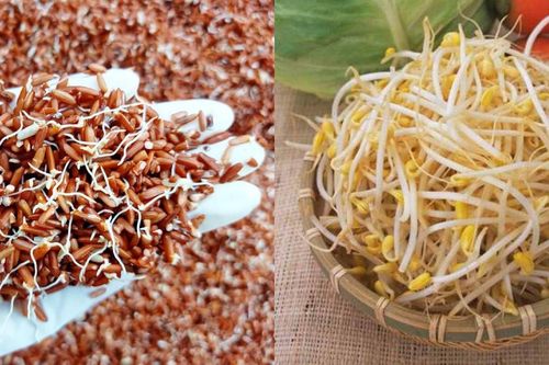 Loại thực phẩm mọc mầm, chẳng những không độc mà còn gấp đôi dinh dưỡng