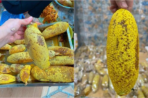 Mật ong ruồi tí hon giá tiền triệu/lít có gì độc lạ?