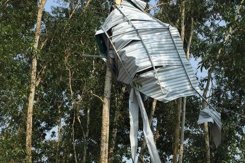 Lốc xoáy thổi bay mái tôn điểm trường tiểu học lên cành cây