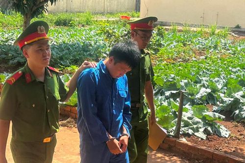 Công an Đắk Nông triệt phá nhiều vụ trộm cắp xe máy