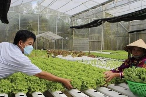 Làm ở Trung tâm Dịch vụ nông nghiệp có còn được phụ cấp nghề?