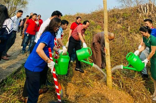 Trồng 1.000 cây ban tại các điểm di tích Chiến trường Điện Biên Phủ