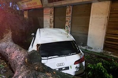 Dông lốc kèm mưa lớn gây thiệt hại tại nhiều địa phương