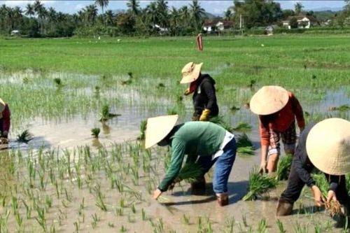 Vần công