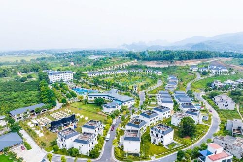Hoãn xuất cảnh chủ dự án La Saveur De Hòa Bình nợ thuế
