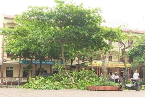 19 trường học, 891 nhà dân ở Phú Thọ bị hư hại do mưa dông