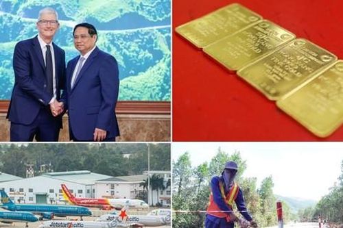 CEO Apple đến Việt Nam; sắp đấu thầu gần 17.000 lượng vàng miếng