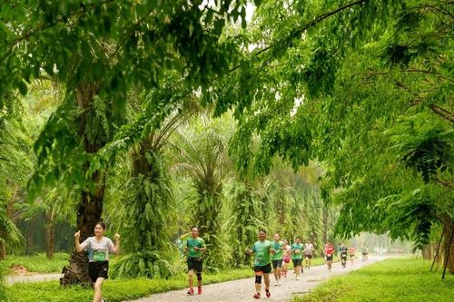 Dàn elite và gần 4.000 vận động viên đổ bộ Ecopark Marathon 2024