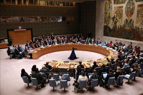 Algeria tuyên bố đề cử lại tư cách thành viên đầy đủ của Palestine trong Liên hợp quốc