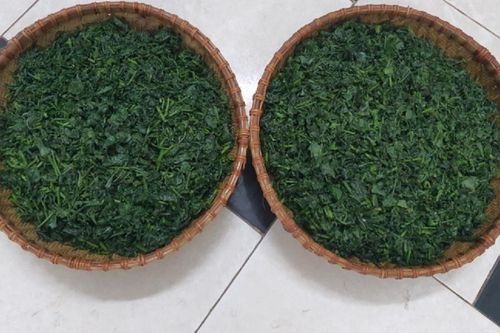 Loại lá của củ 'dài ngoằng' tưởng chỉ cho trâu bò ăn, nay thành đặc sản 65.000 đồng/kg