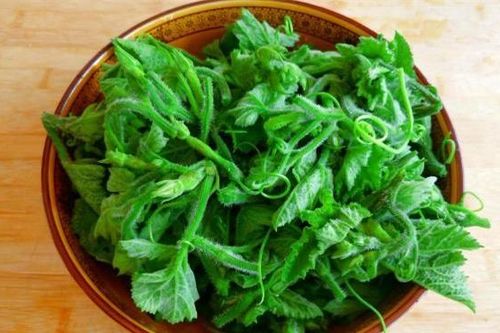 Có một kho báu trong bí đỏ, nhiều người chỉ biết ăn như rau mà không biết bí đỏ là thần dược