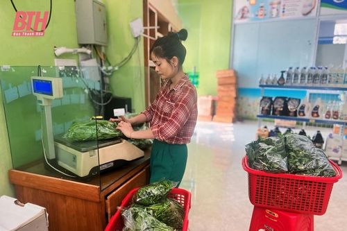 Những gian hàng giới thiệu nông sản an toàn