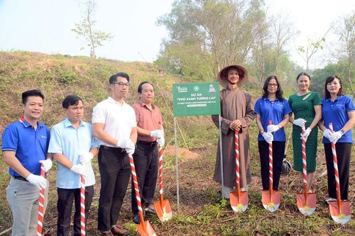 Trồng 1.000 cây xanh tại các di tích lịch sử Điện Biên Phủ