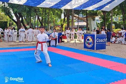 Giải vô địch Karate thiếu niên, nhi đồng thành phố Biên Hòa mở rộng 2024