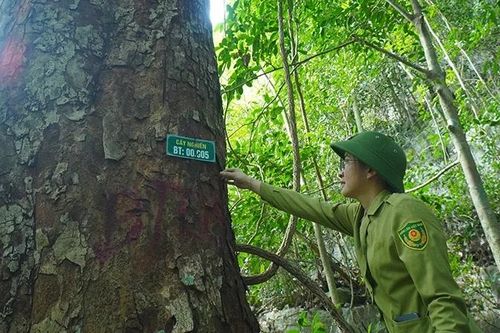 Chinh phục Nam Xuân Lạc