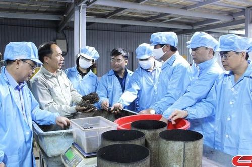 Tăng cường trao đổi, chia sẻ kinh nghiệm, hợp tác giữa huyện Mường La và huyện Bắc Yên