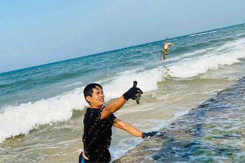 Về biển 'săn' cua đá