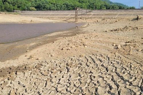 Hà Tĩnh: Tăng cường các biện pháp phòng, chống nắng nóng, hạn hán, thiếu nước, xâm nhập mặn