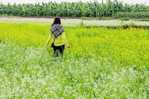 Chuyện tình thời xa vắng