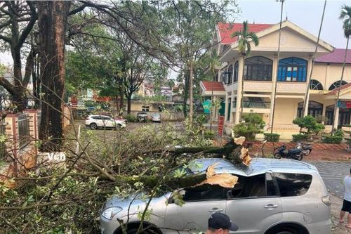 Sơn La: Mưa lớn kèm giông lốc gây nhiều thiệt hại