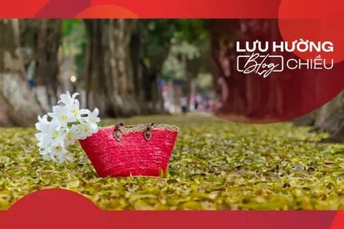 Hà Nội mùa lá rụng