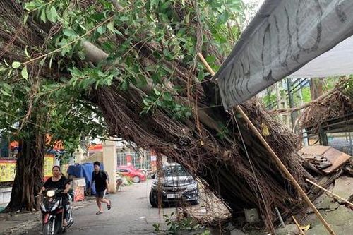Cảnh 'ngổn ngang' trên đường phố Hà Nội sau trận mưa lớn