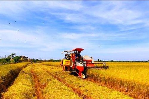 Cả nước có 3.500 tổ khuyến nông cộng đồng