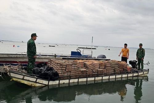 Quảng Ninh: Phát hiện bè gỗ chở gần 30.000 quả trứng gà nhập lậu