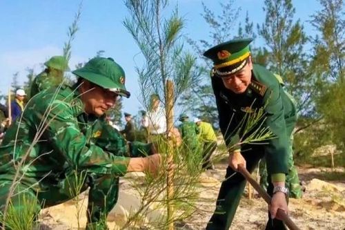 Góp một cây để có rừng