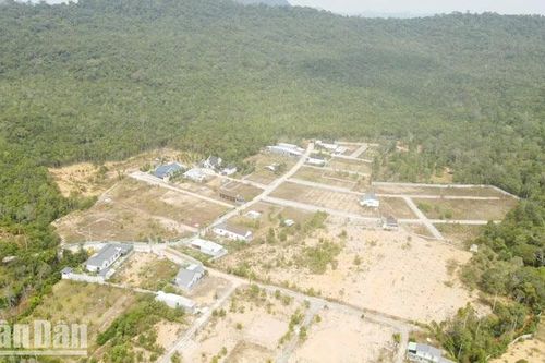 Kiên Giang: Cảnh báo việc lừa đảo cấp đất ở Vườn Quốc gia Phú Quốc