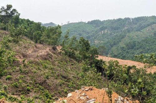 'Tuýt còi' doanh nghiệp san ủi trái phép rừng tự nhiên ở Quảng Trị