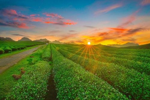 Công nhận Khu du lịch quốc gia Mộc Châu