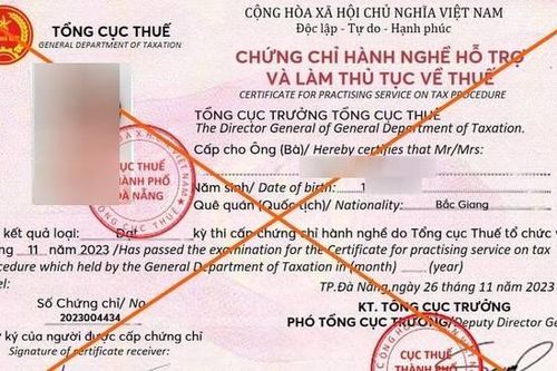 Đà Nẵng cảnh báo giả chứng chỉ hành nghề làm thủ tục về thuế