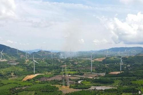 Cung cấp hồ sơ điện gió xây trên đất rừng phòng hộ cho cơ quan điều tra