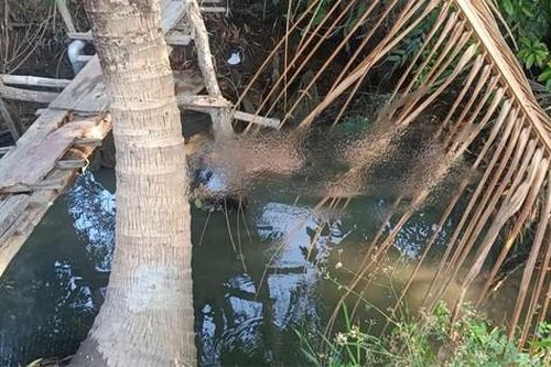 Phát hiện người đàn ông tử vong bất thường ở Long An