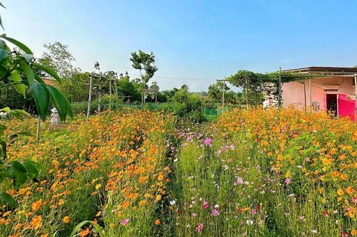 Tậu đất hoang không điện nước, gia chủ Đắk Lắk dựng chốn nghỉ dưỡng đẹp như mơ
