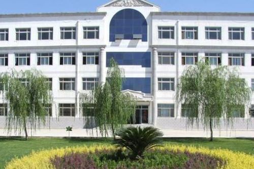 Thủ khoa kỳ thi thạc sĩ bị các trường từ chối vì ngược đãi mèo