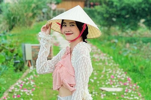 Con đường hoa nở rộ ở Hang Múa, giới trẻ rủ nhau đến check-in