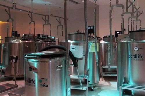 Bê bối ở ngân hàng lưu giữ máu cuống rốn khiến hàng nghìn cha mẹ phẫn nộ