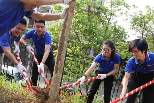 Trồng hàng nghìn cây hoa ban tri ân mảnh đất Điện Biên anh hùng
