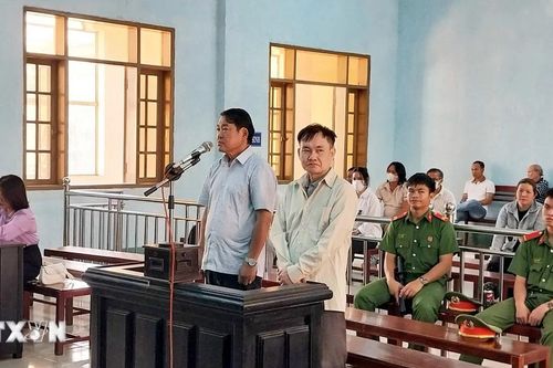 Gia Lai: Cựu Giám đốc Sở Giáo dục và Đào tạo bị tuyên phạt 12 tháng tù treo