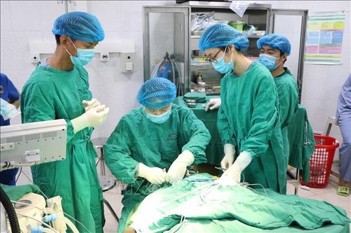 Mang lại nụ cười cho trẻ mắc dị tật hở môi, vòm miệng